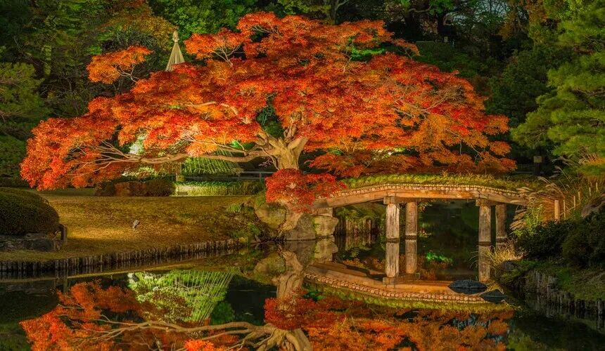 Japan Fall Foliage Guide ： 14 Top Spots & Peak Dates