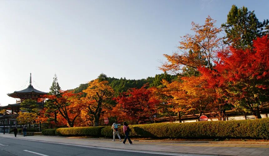 Japan Fall Foliage Guide ： 14 Top Spots & Peak Dates