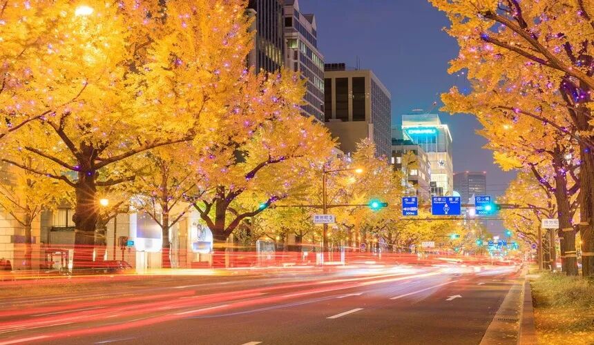 Japan Fall Foliage Guide ： 14 Top Spots & Peak Dates