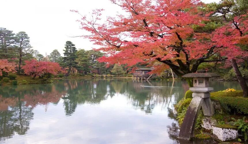 Japan Fall Foliage Guide ： 14 Top Spots & Peak Dates