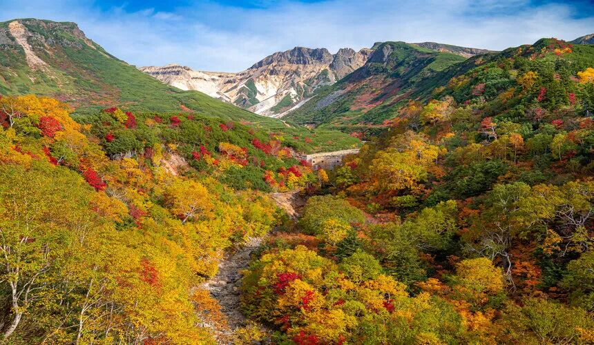 Japan Fall Foliage Guide ： 14 Top Spots & Peak Dates