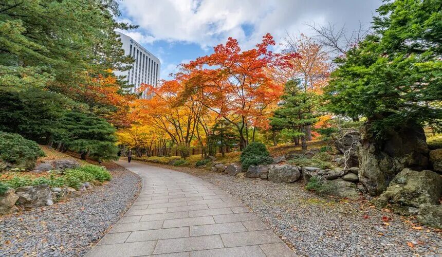 Japan Fall Foliage Guide ： 14 Top Spots & Peak Dates