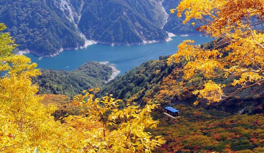Japan Fall Foliage Guide ： 14 Top Spots & Peak Dates