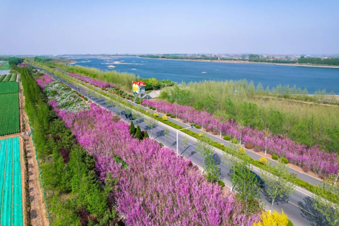 莱西春季摄影攻略让你把莱西的美景尽收眼底