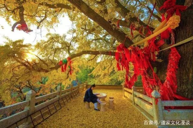 道教的婚姻观为你讲解“宁拆十座庙，不毁一桩婚”！