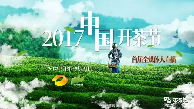 ==== 这个春天 ==== 脚步在涌动,茶山在沸腾 湖南广播电视台茶频道开