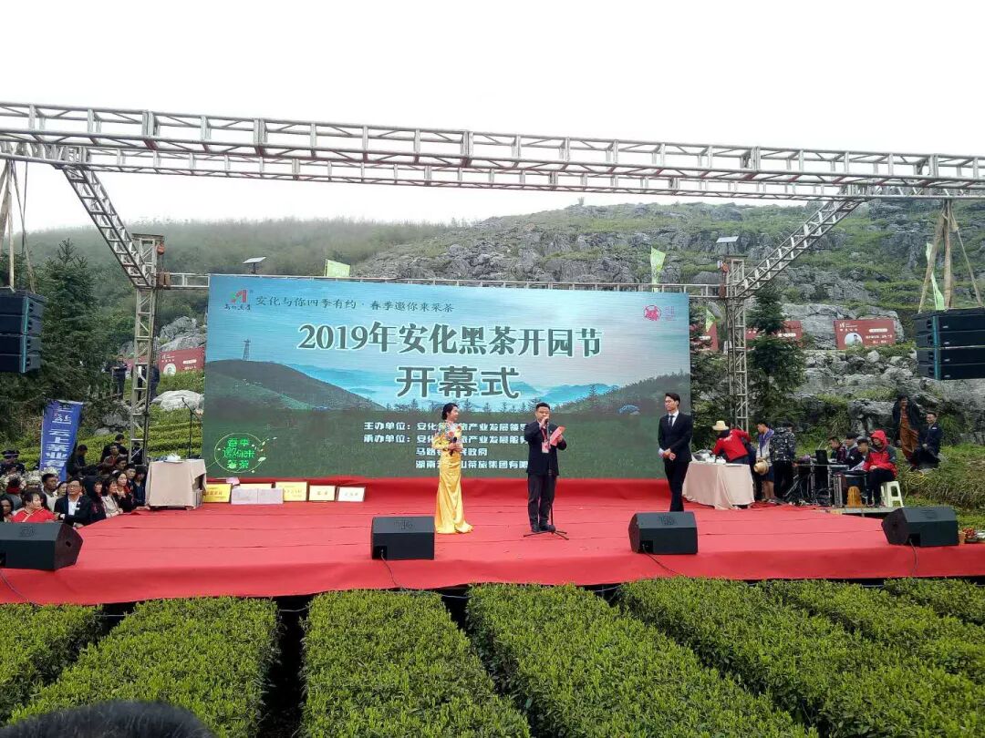 震撼！2019年湖南安化黑茶开园节现场来啦...