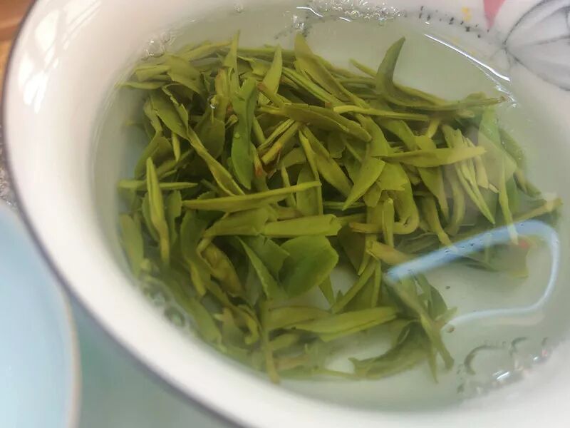 知茶性，喝对茶，养生事半功倍