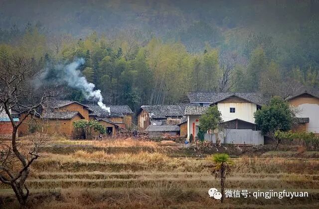 老物件的记忆：火胆