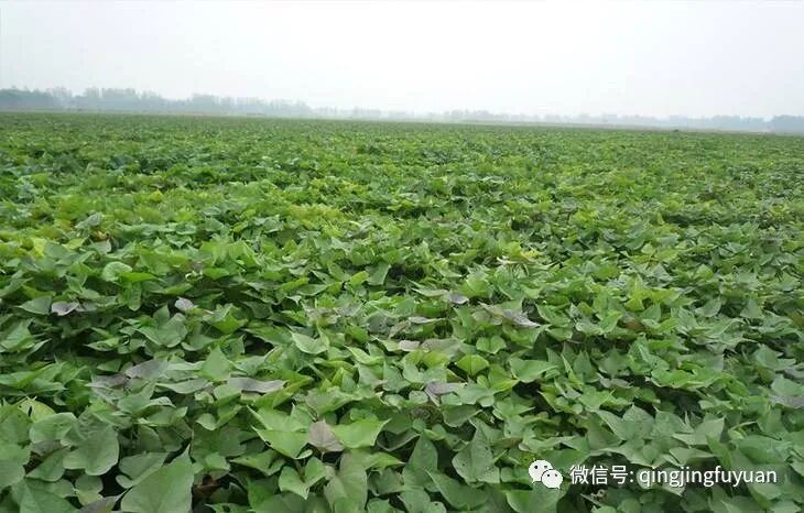 ������ļ��䣺��������