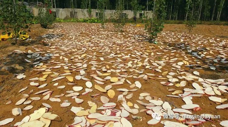 ������ļ��䣺��������