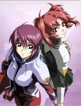 第6位:露娜玛丽亚·霍克&美铃·霍克《机动战士高达seed destiny)