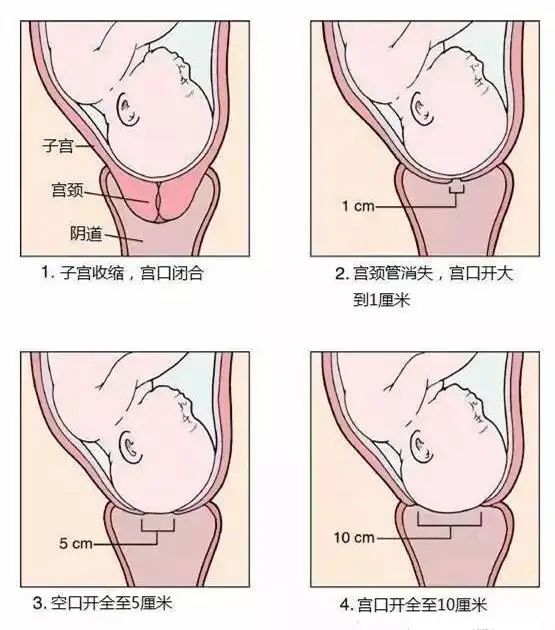 林志穎身世曝光，真相太過心酸：生下我，我媽恨了45年 親子 第18張