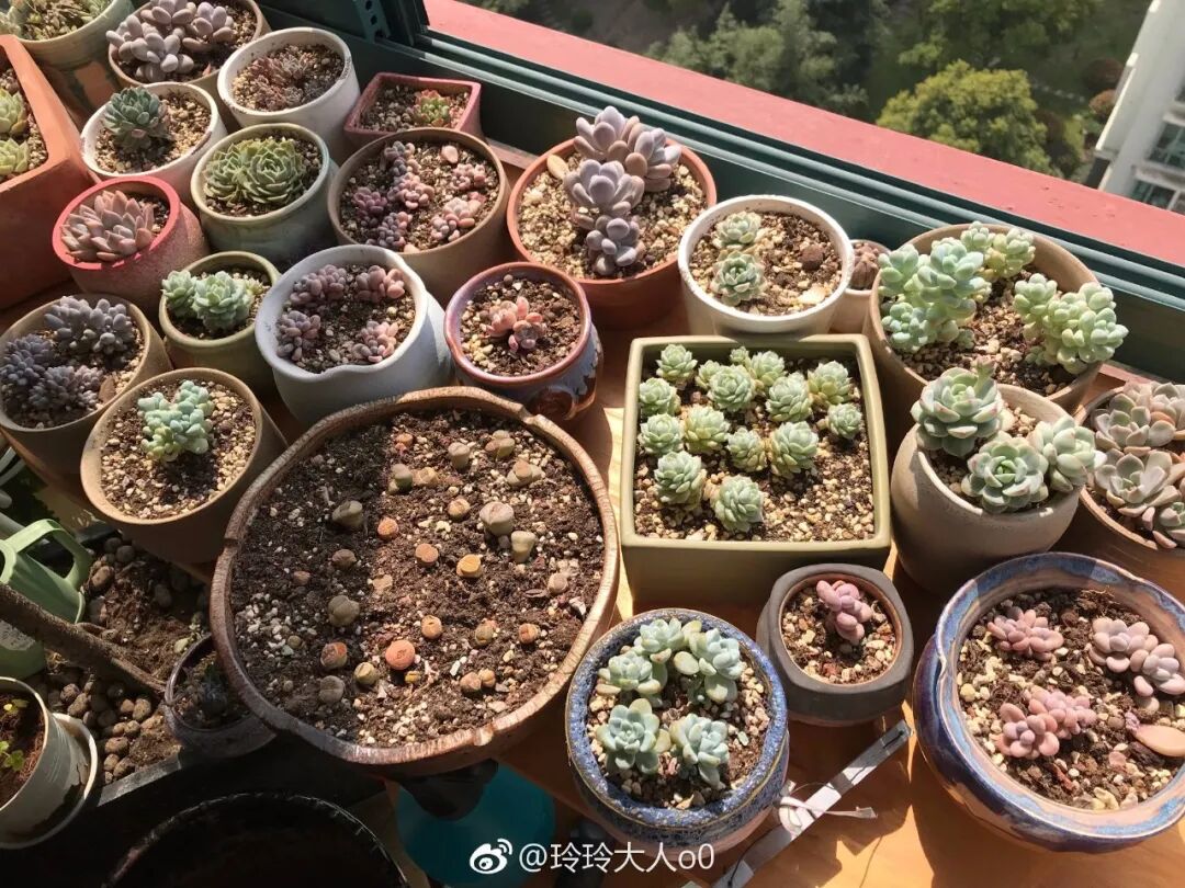 41岁秦岚被骂“荡妇”，遭万人点赞：她凭什么不配做女人？（组图） - 25