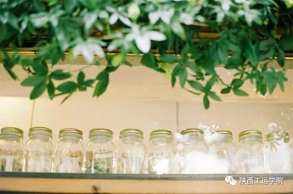 陕西工运学院新校区招标_陕西工运学院_陕西工运学院待遇