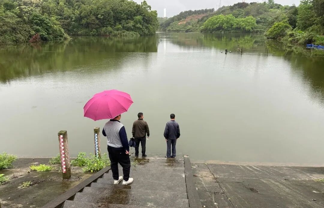 龙圩区龙圩镇:全力防汛备汛 筑牢安全防线 - 基层动态 - 广西梧州龙圩