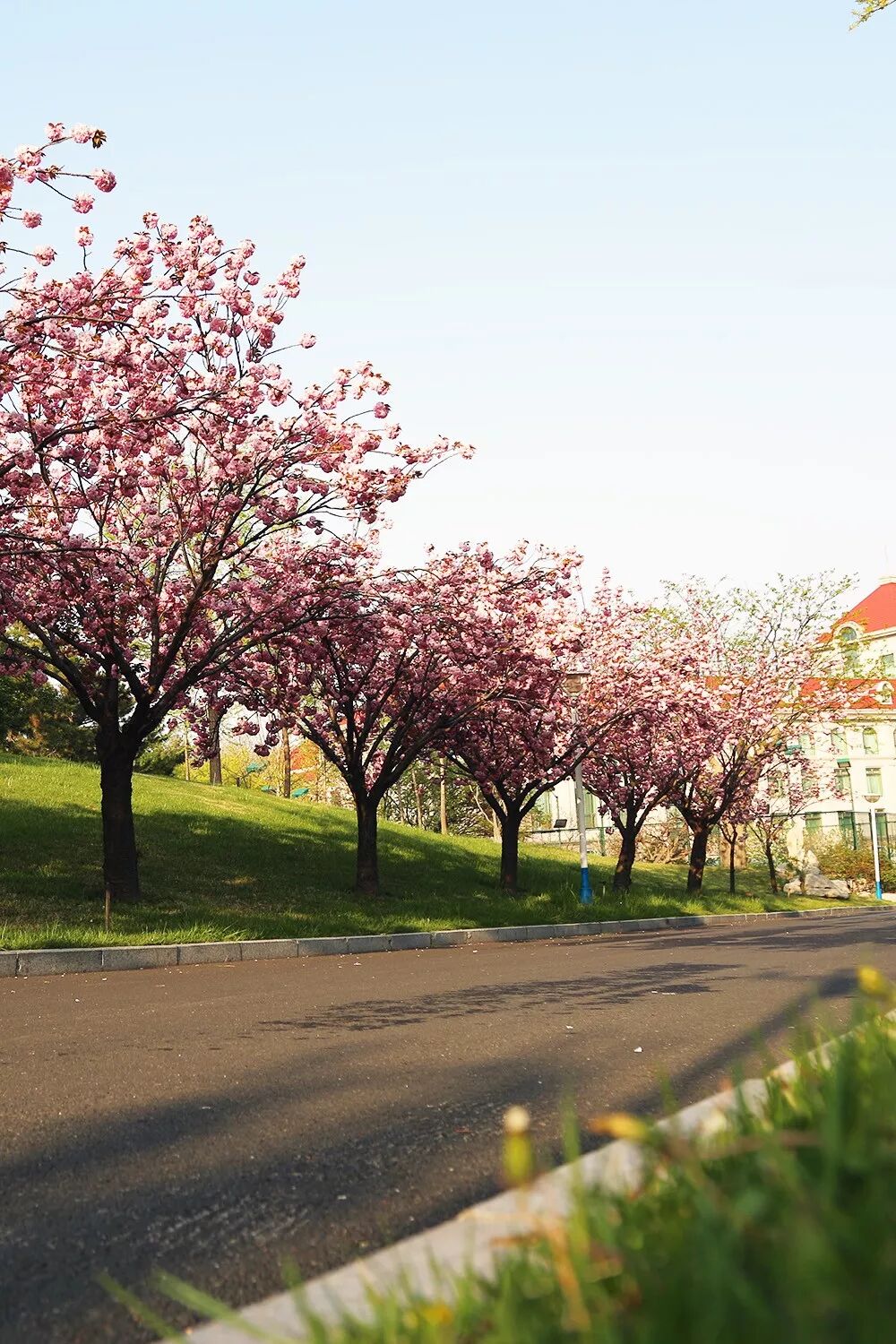 会议场地网站_培训会议场地_北京会议场地