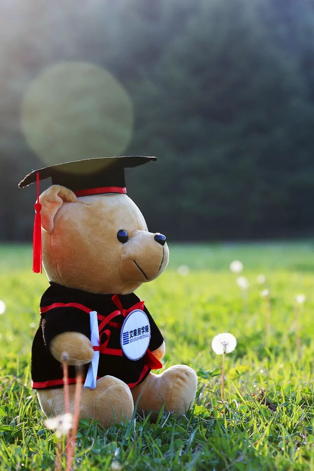 培训会议场地_会议场地网站_北京会议场地