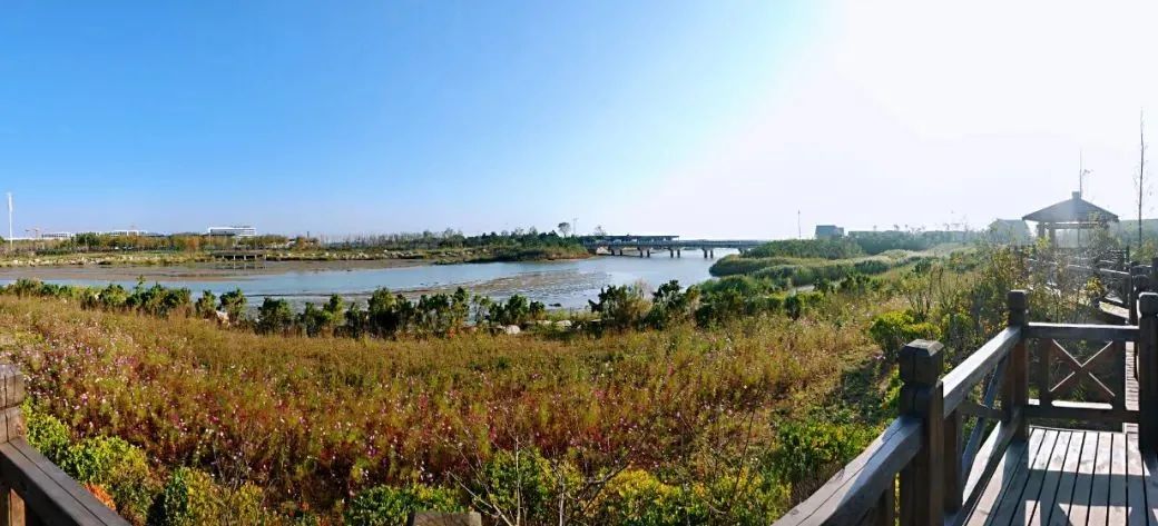 日照山海湾‖碧水东流入大海,颐养身心境悠然