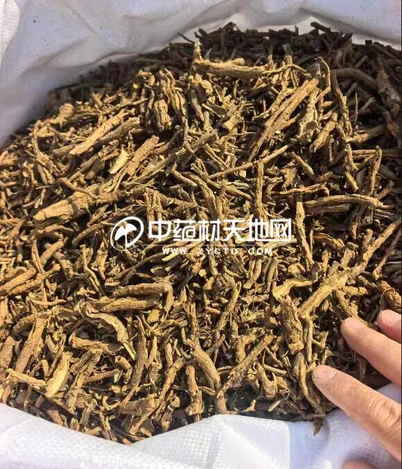 地骨皮合格率提高 对整体行情有何影响？