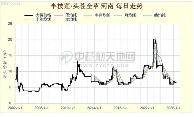 半枝莲新货减产已定 后市是否迎来上行机会？