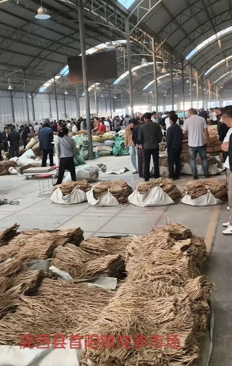 党参当前价格是否触底?