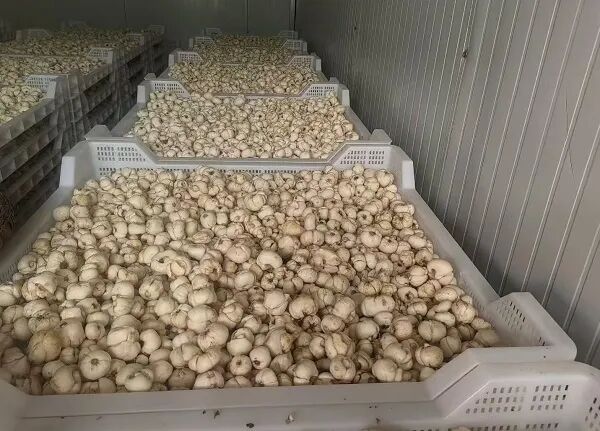 微信图片_20260902094557_177_448