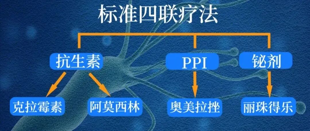 别乱杀幽门螺杆菌了，杀死幽门螺杆菌，结果竟然是这样！赶紧看