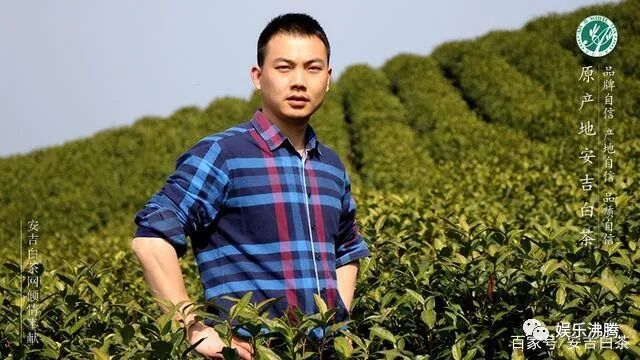 夏季与大自然最亲近的邂逅，每天二杯安吉白茶