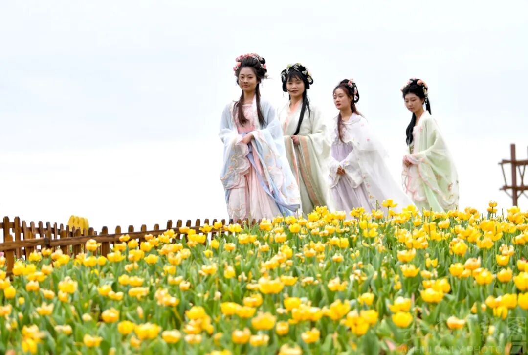 数据公布这下知道清明假期为啥安徽到处都是人