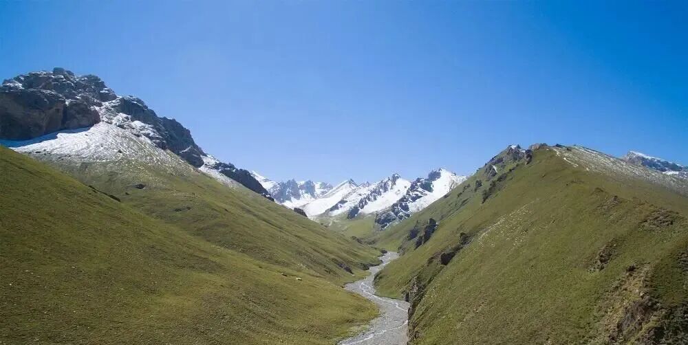 关于天山的植被分布，为什么天山北坡有云杉林分布，而南坡没有？ - 知乎