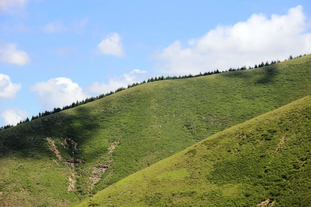 科学网—山西天镇的天路风光 - 信忠保的博文
