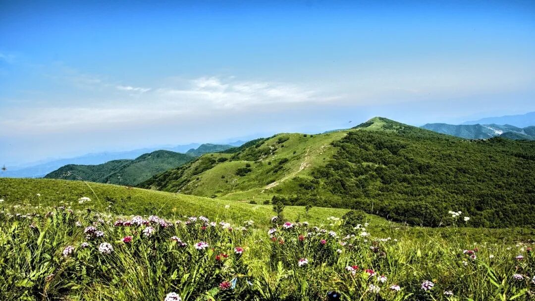 高山草甸_360百科