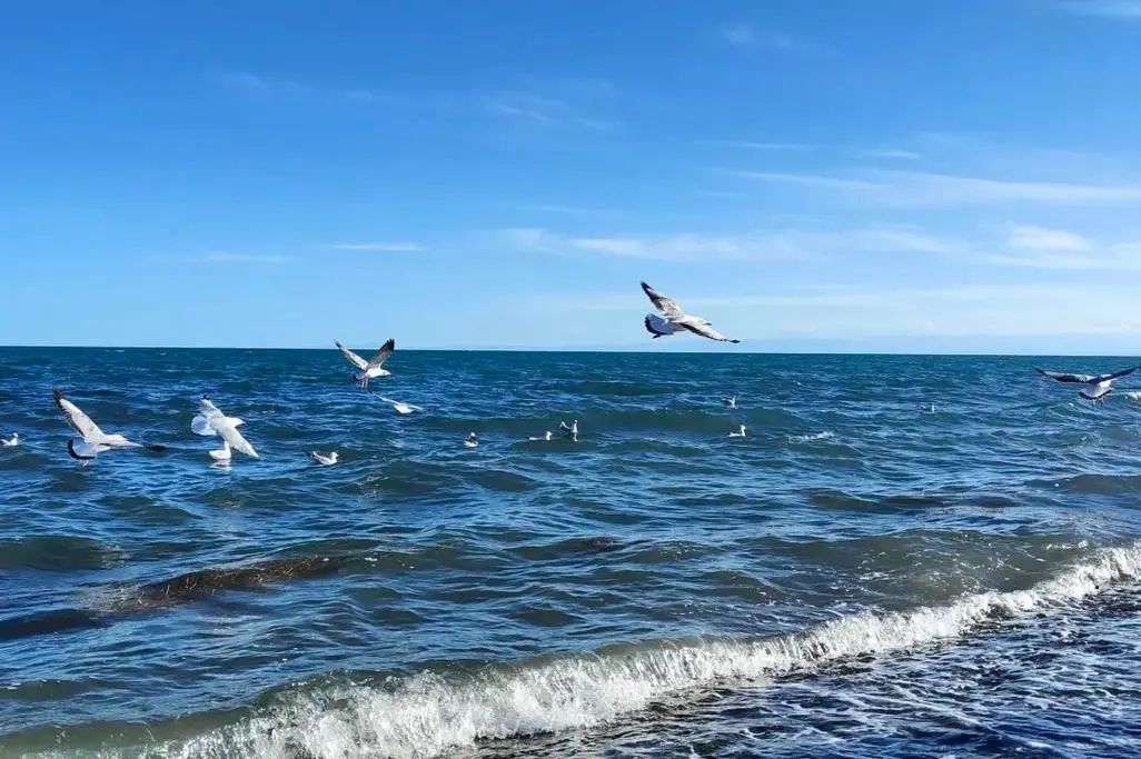 贝加尔湖是断层湖还是构造湖