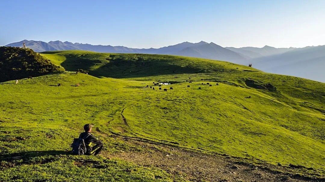 草甸,高山草甸,中最美高山草甸_大山谷图库
