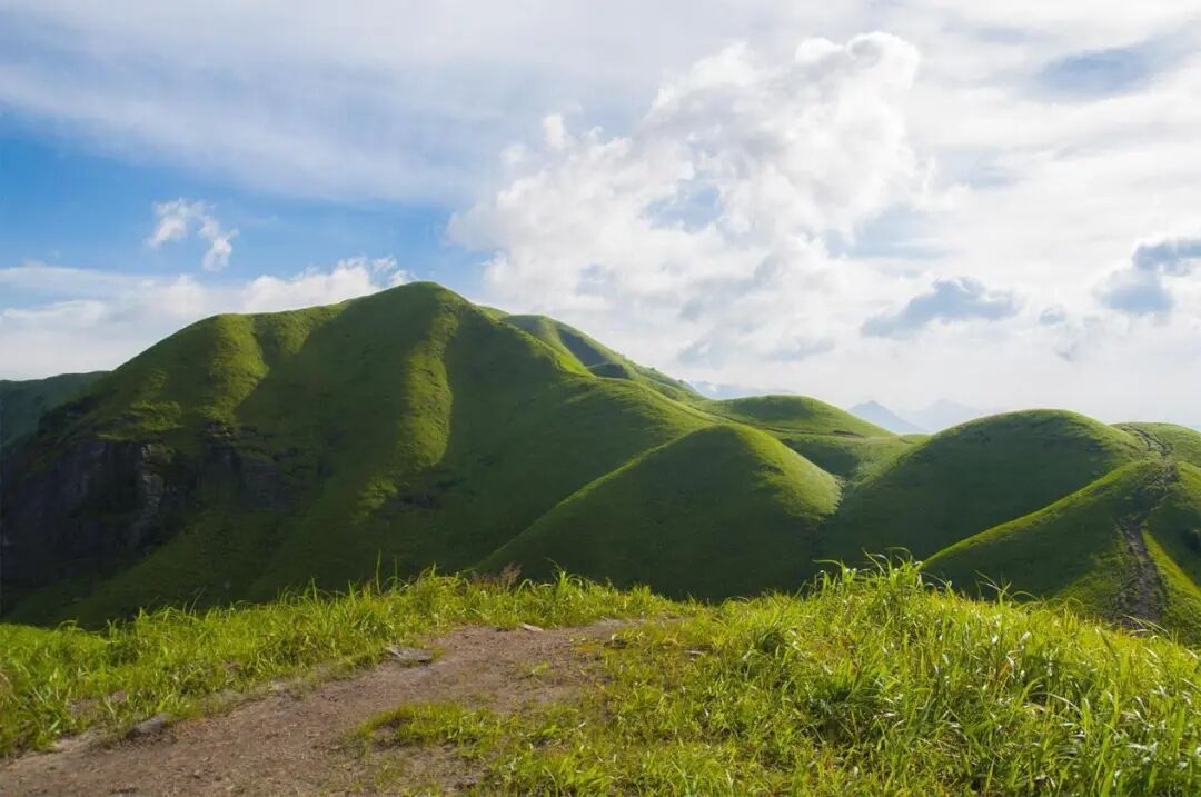高山草甸的美丽景色高清图片下载-正版图片507098372-摄图网