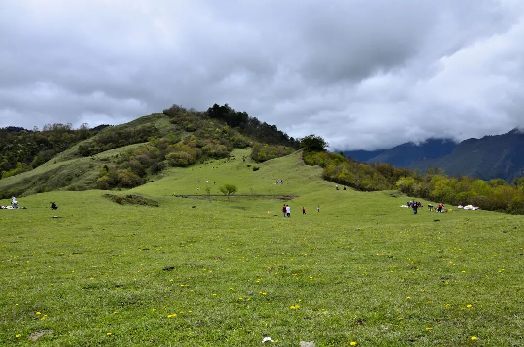 【徒步登高山草甸摄影图片】生活摄影_太平洋电脑网摄影部落