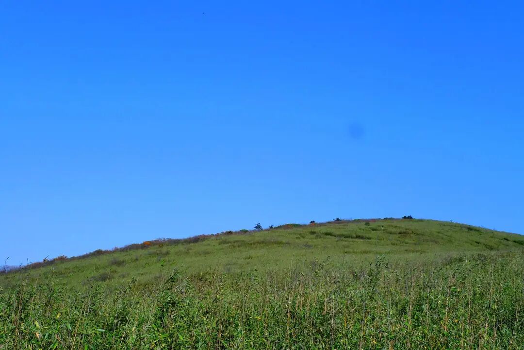 【秦岭高山草甸摄影图片】风光摄影_xinlianyong_太平洋电脑网摄影部落