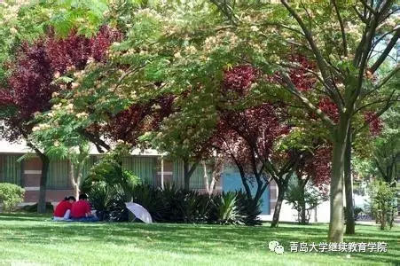 青岛大学,一个梦想腾飞的地方 青岛大学,一个梦想腾飞的地方