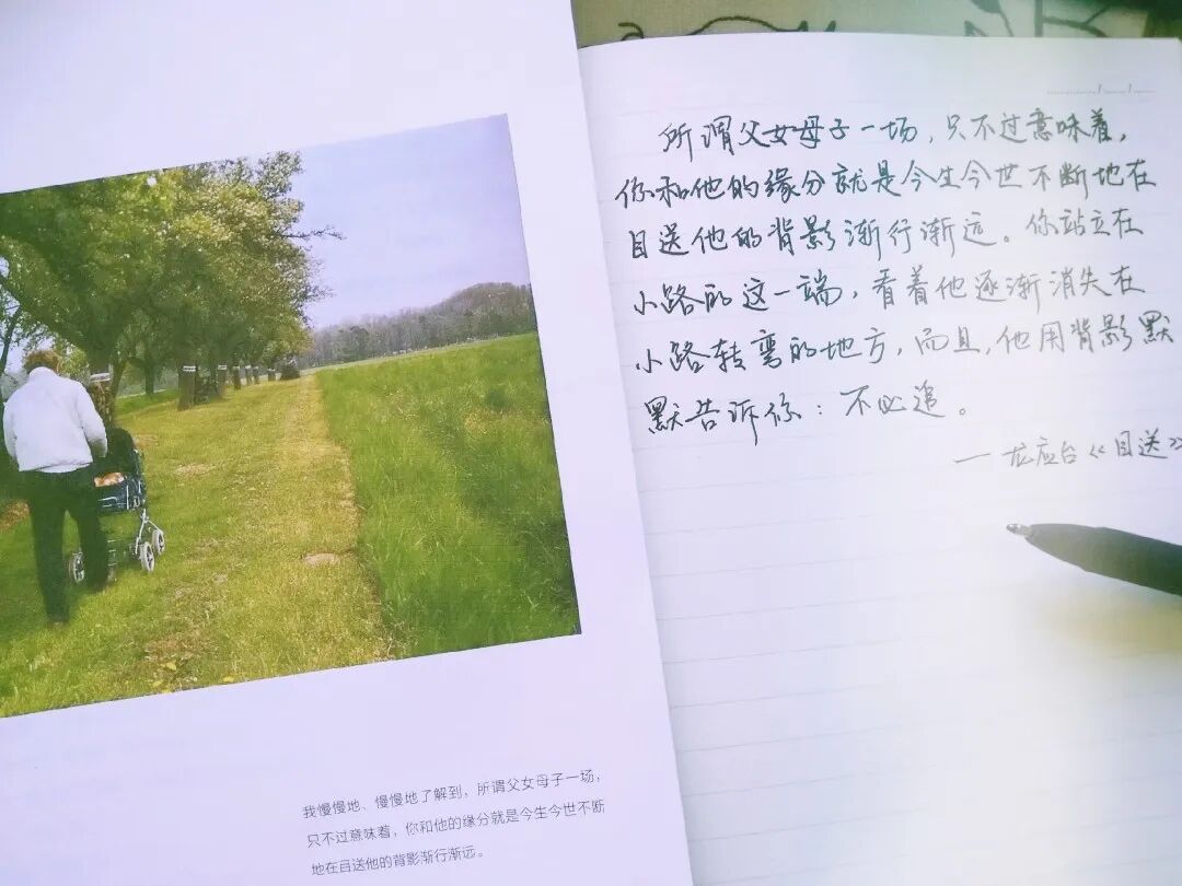 龙应台 目送 英译朗读 完整版 英语听力小站 微信公众号文章阅读 Wemp