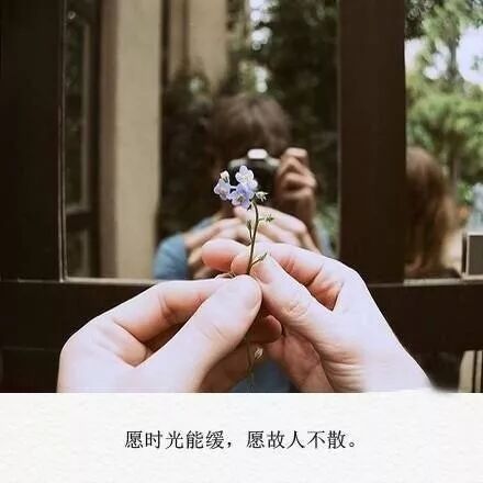 浮世万千吾爱有三日 月与卿 英语情诗表白 微信公众号文章阅读 Wemp