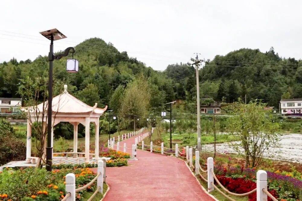 在乡村振兴上开新局织金县猫场镇龙潭社区产业兴村容美百姓乐