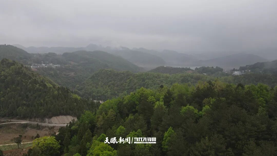 织金县茶店乡:种下创先争优种子 树立淳朴文明乡风