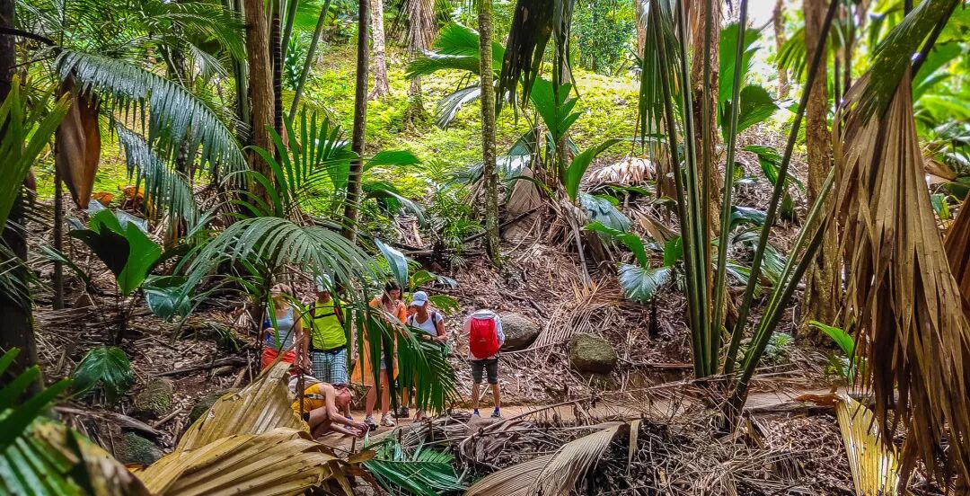 海面上的伊甸園，遠離人潮洶湧擁抱原始風光 旅遊 第16張
