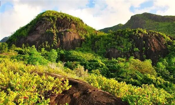 海面上的伊甸園，遠離人潮洶湧擁抱原始風光 旅遊 第11張