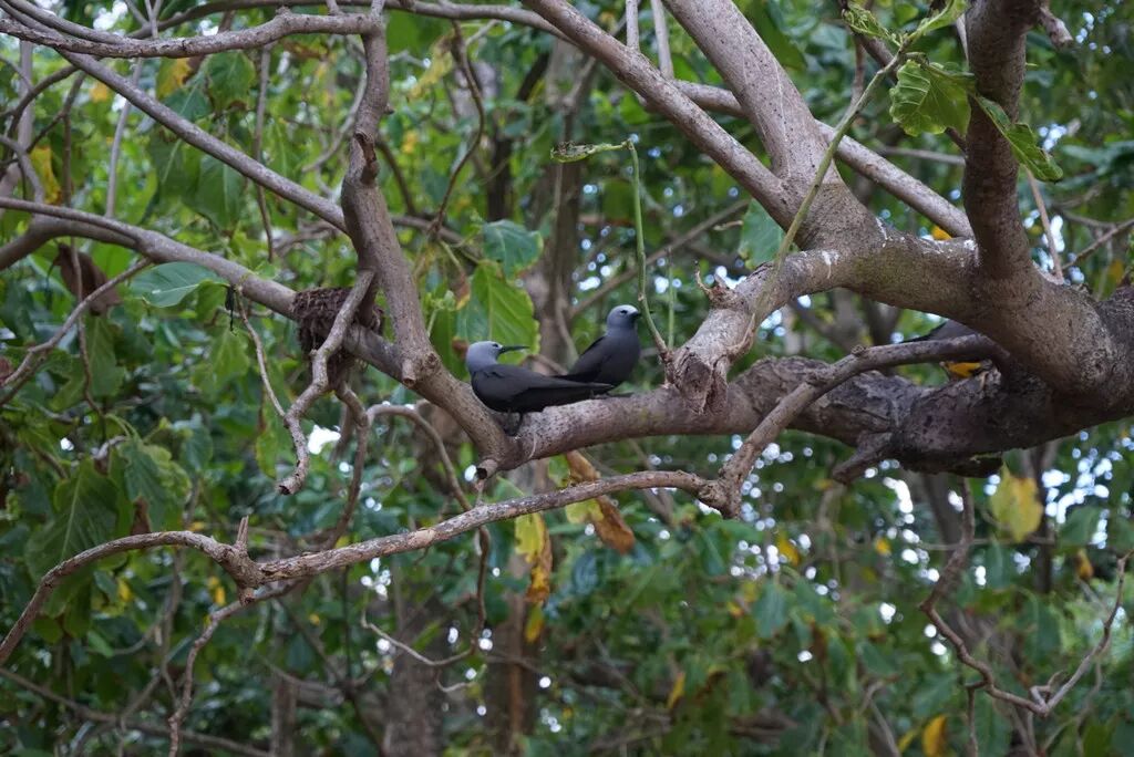 海面上的伊甸園，遠離人潮洶湧擁抱原始風光 旅遊 第25張
