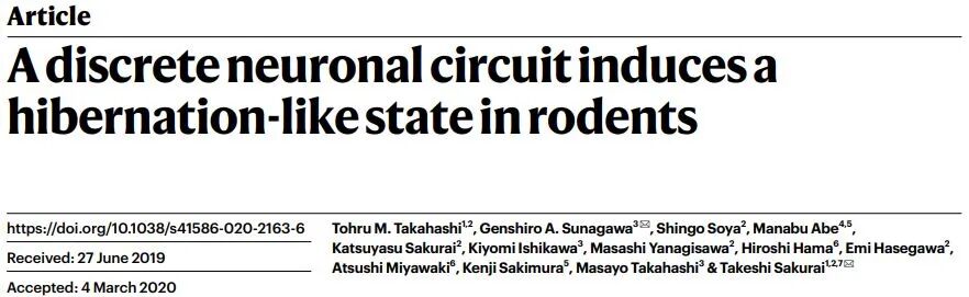 生命的暂停键 同日两篇 自然 科学家首次在小鼠大脑中找到 冬眠开关 学术经纬 二十次幂