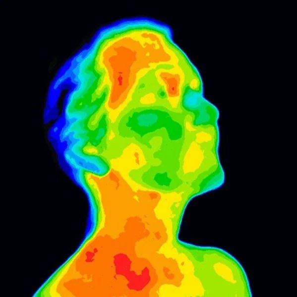 健康人脑日常可达40℃？想不到，“头脑发热”才是正常的……