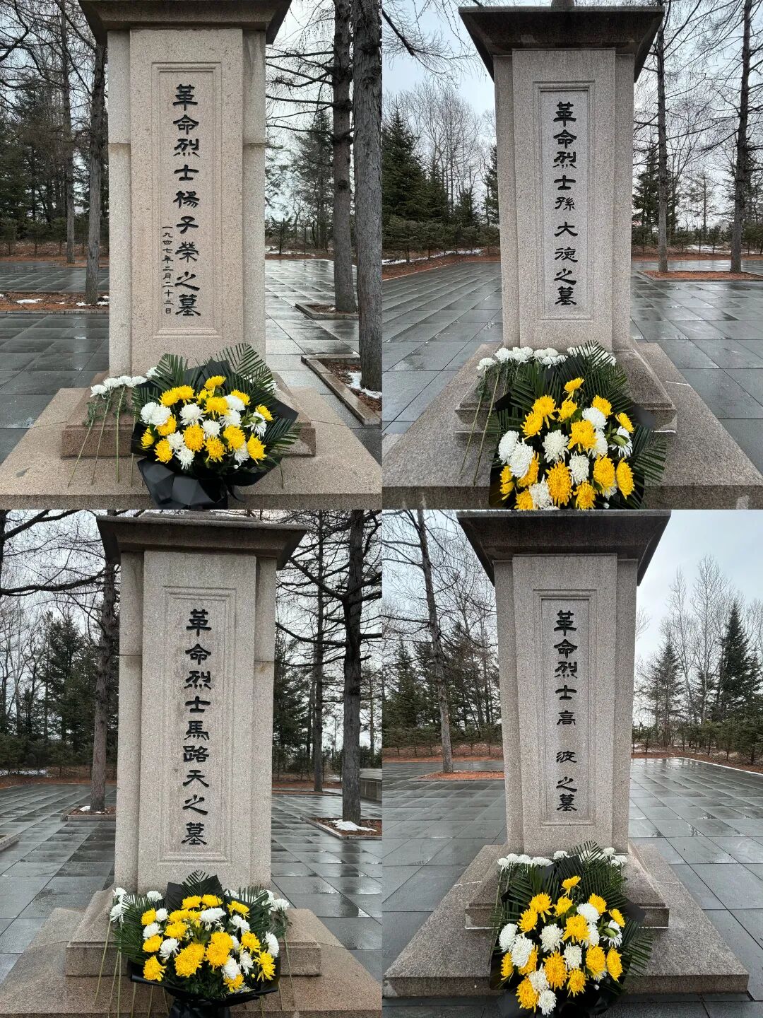 微信图片_20250401104754.jpg