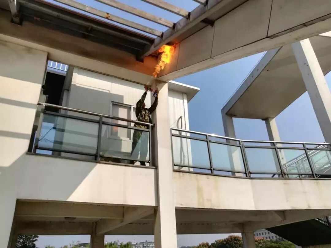 利港亲水湖公园的10余处马蜂窝 刚被端了